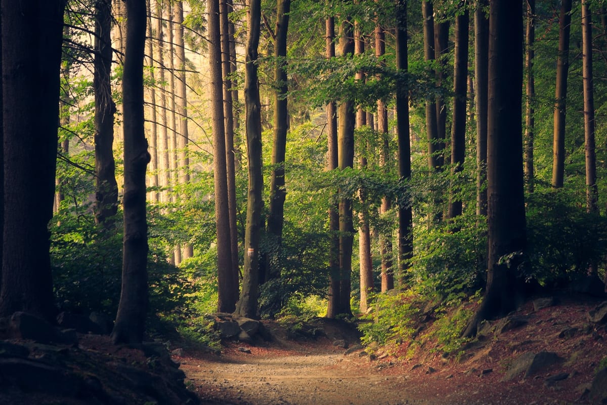 Roanoke County parks, Virginia